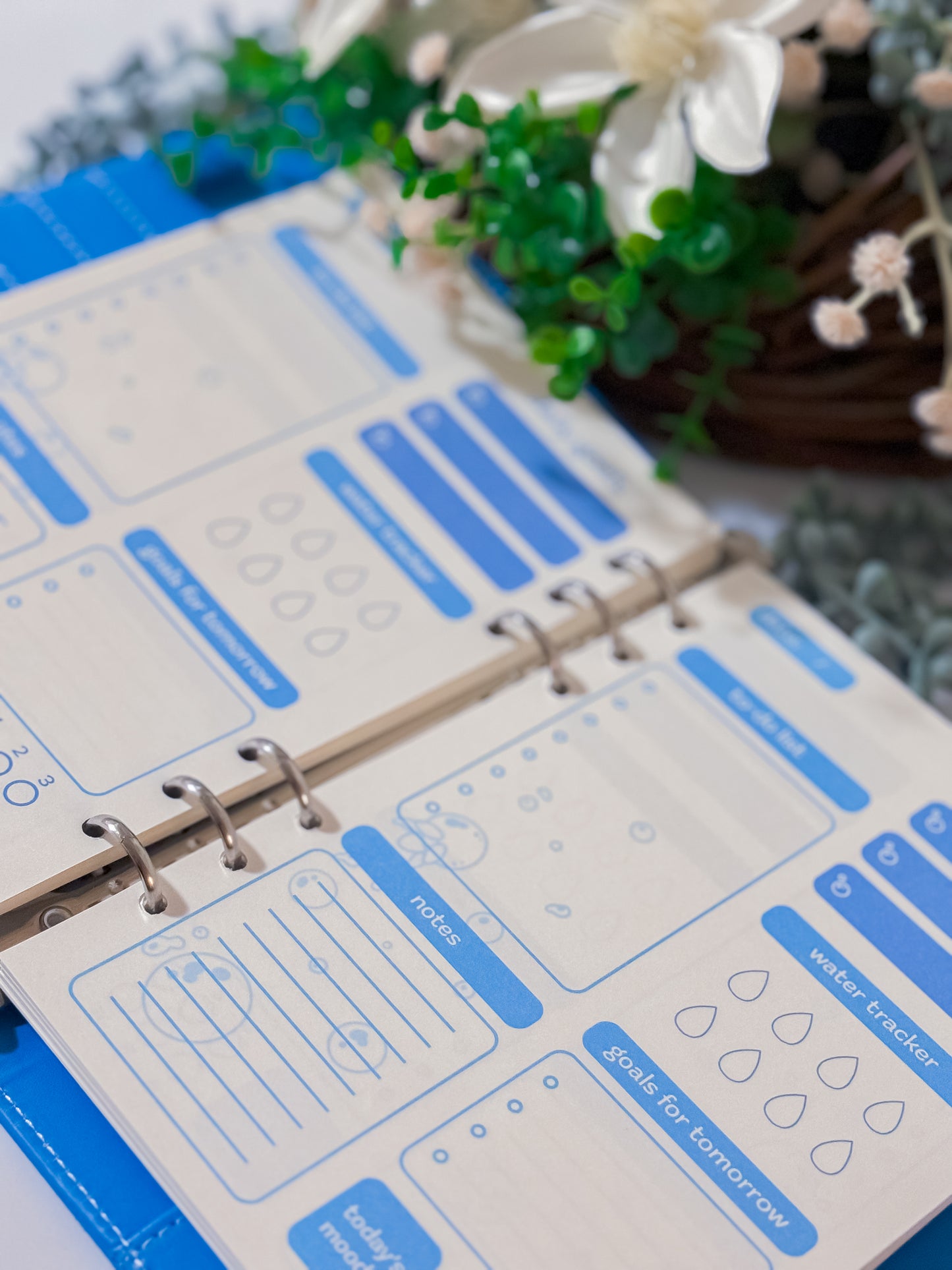 Genshin Impact- Regional Daily Planners (+ Refills!)