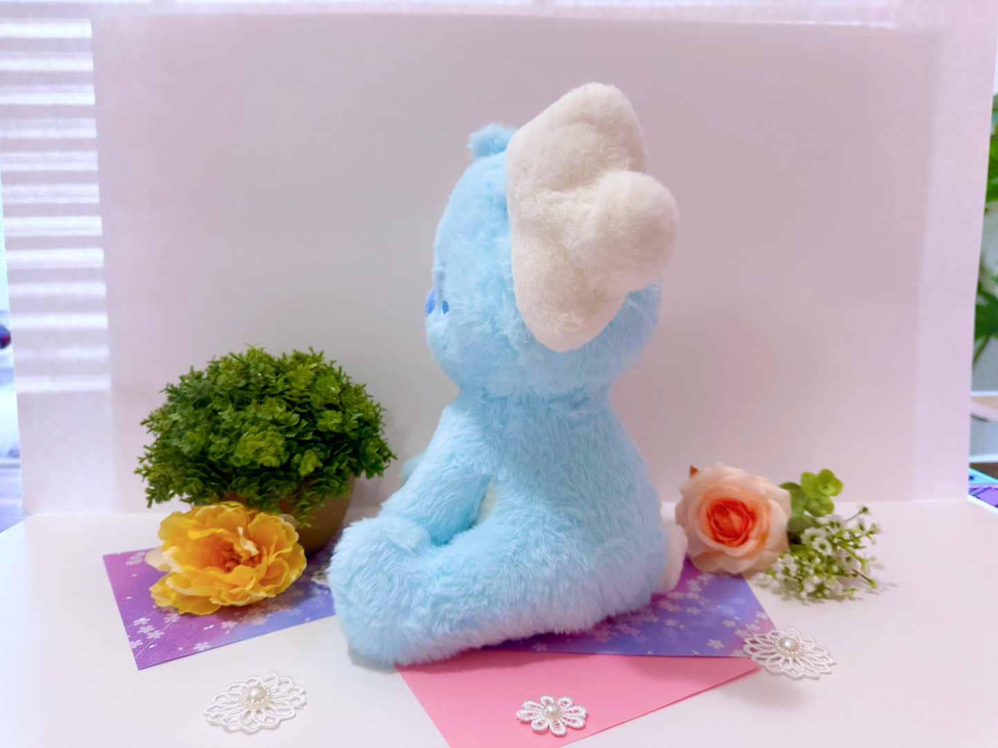 PREORDER!! Koka the Cloudy Koala Plushie