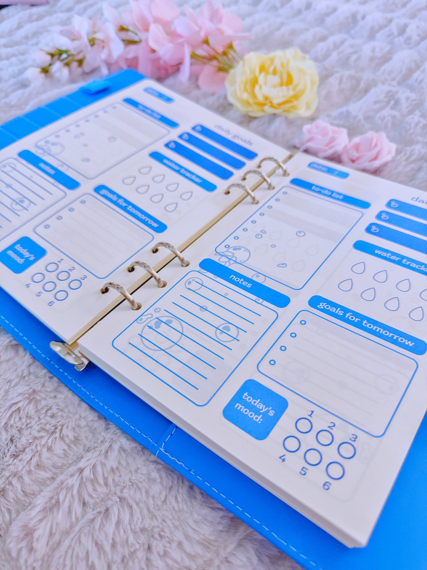 Genshin Daily Planners: Fontaine
