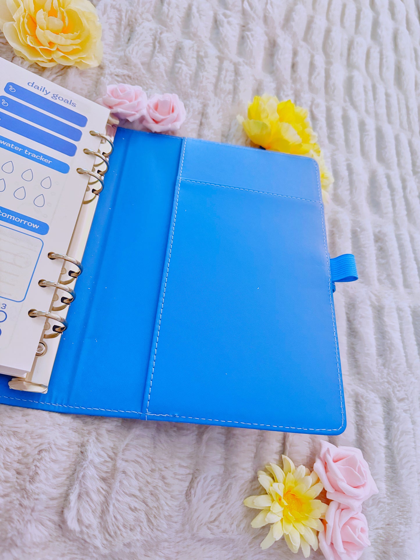 Genshin Daily Planners: Fontaine