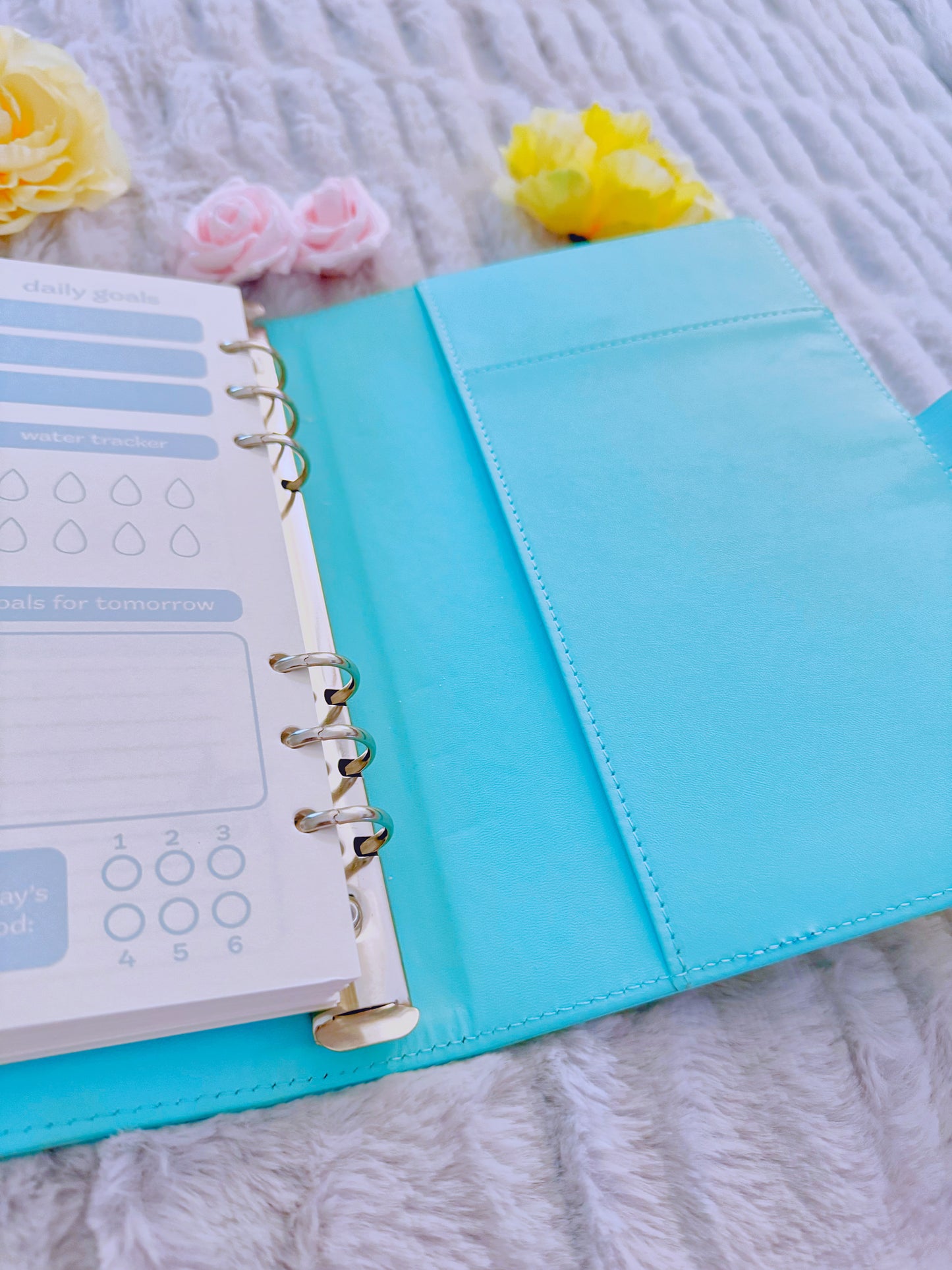 Genshin Daily Planners: Mondstadt