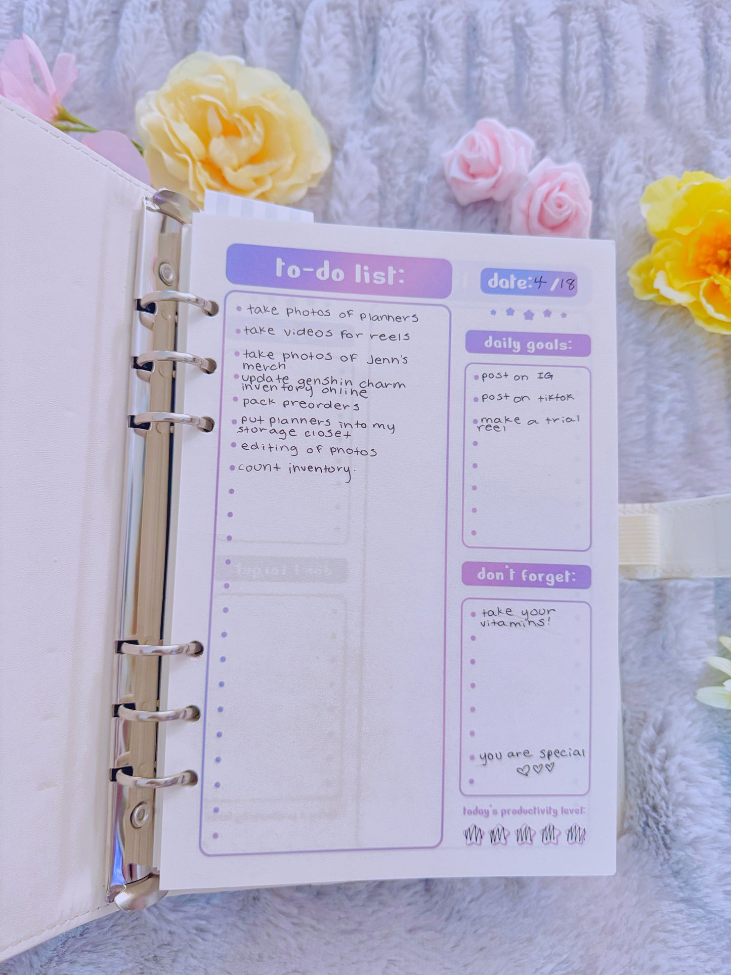 Special Daily Planner Refills: To Do Lists